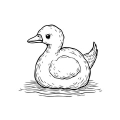 Ink drawing illustration showcasing a cute duckling floating in calm water with a delicate line