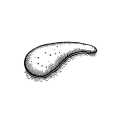 Intricate monochrome illustration featuring elongated shape with subtle texture resting peacefully