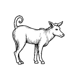 Monochrome detailed animal illustration showing a donkey standing on a white background in side