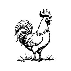 Monochrome illustration of a rooster standing proudly on grass a classic farm animal emblem