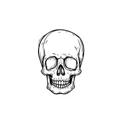 Monochrome portrayal skull bone anatomical form skeletal structure cranium head death symbol