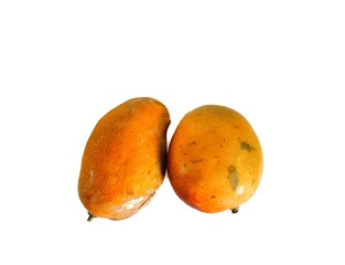 Two ripe mangoes isolated on white background. Typical fruit of Guatemala