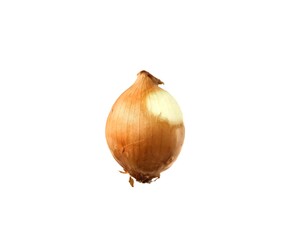 Brown onion isolated on white background. Typical guatemalan food