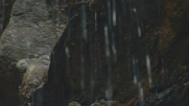 荒沢不動の滝（神沢不動の滝）
静岡県浜松市天竜区神沢
滴る水と周りの景色