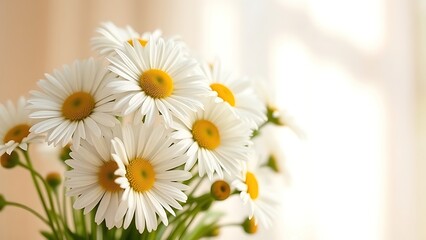 Fototapeta premium A fresh daisy bouquet basks in sunlight, with delicate blooms against a soft focus background.
