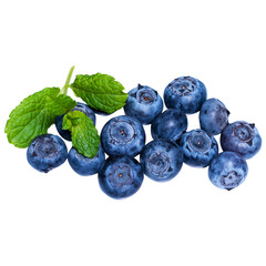 Fresh blue berries with water droplets on a branch with green leaves isolated on transprint background Pile of fresh blueberries