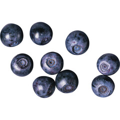 Fresh blue berries with water droplets on a branch with green leaves isolated on transprint background Pile of fresh blueberries