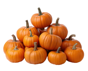 Vibrant pile of orange pumpkin for festive autumn harvest. This isolated vegetable element works great as seasonal clipart for Halloween and Thanksgiving design