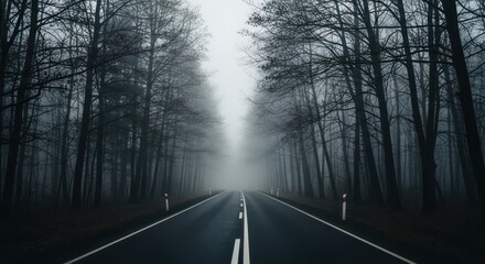 Eerie Fog Blankets a Road Cutting Through a Dark Forest Offering a Mysterious Drive