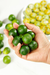 Fresh Green Hainan Kumquats in Hands - Small Citrus Fruits Healthy Organic Produce