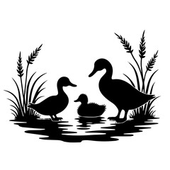 duck and duckling, bird, duck, goose, animal, nature, isolated, white, vector, illustration, silhouette, wildlife, swan, geese, water, wild, beak, animals, black, mallard, feather, cartoon, waterfowl,
