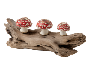 Whimsical decorative clipart of red and white fantasy fly agaric mushroom fungus on rustic wood log. magical, enchanting element perfect for storybook design
