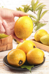 Fresh Golden Tropical Fruit in Hand with Pineapple Plant Background