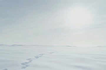 Snow Covered Field with Footprints Under Natural Light