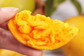 Fresh Orange Slice in Hand Showing Juicy Citrus Pulp and Golden Segments Close-Up