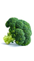 Fresh broccoli head, vibrant green, and a healthy vegetable against a plain white background.