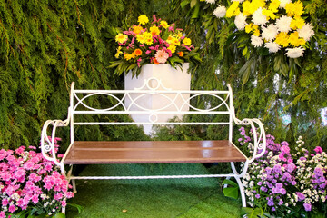 Single wood bench on green pine leaf with chrysanthemum flower decorative on background