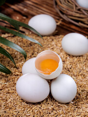 Fresh Free-Range Farm Eggs with Bright Orange Yolk in Natural Straw Setting