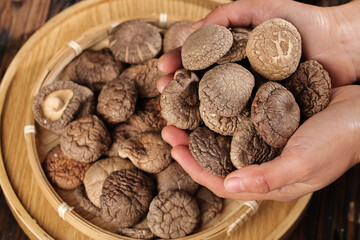 Fresh Shiitake Mushrooms in Hands Over Bamboo Basket - Organic Cooking Ingredients