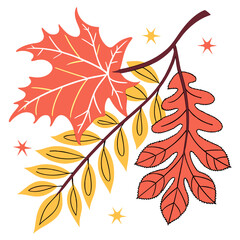 Vector art of autumn leaves on a branch, featuring a maple leaf, oak leaf, and yellow leaves, creating a vibrant and seasonal design