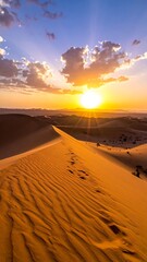 Desert sunset panorama