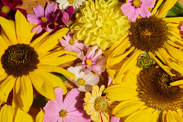 Sunflowers and pink cosmos pattern collage
