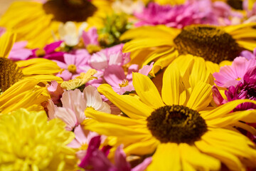 Sunflower, dahlias and cosmos floral background
