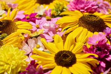 Sunflower, dahlias and cosmos floral background
