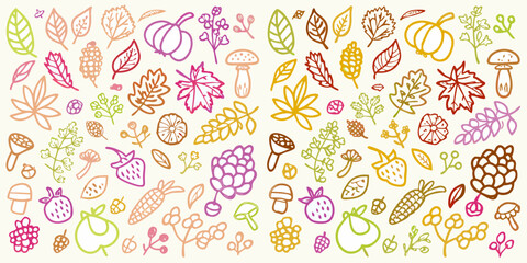 Whimsical hand drawn autumn harvest elements collection with leaves pumpkins berries and mushrooms