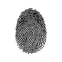 An artistic representation of a fingerprint showcasing intricate patterns symbolizing identity and security.