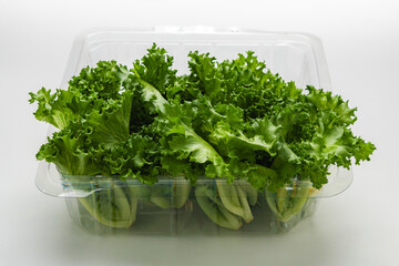 Fototapeta premium Fresh green lettuce in plastic container isolated on white background