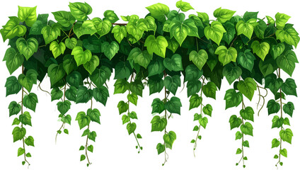 Lush Green Ivy Leaves Cascading Vines. Beautiful Hanging Green Ivy Leaves Design. Cascading Ivy Vines with Organic Green Leaves. Fresh Green Ivy Vines for Garden Decor. Organic Green Ivy Plant