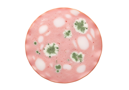 Close-up of a slice of cured meat exhibiting visible mold growth.