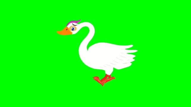 Duck green screen cartoon characters with motion 