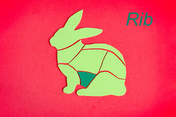 An image of a rabbit carcass, with brightly colored ribs. The meat fillet of rabbit is schematically shown.