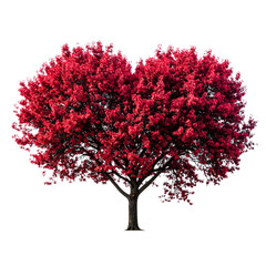Obraz premium Red heart tree isolated on white or transparent background, png By Olena 