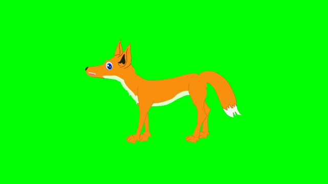 Fox talking and walking profile on green screen chroma key background
