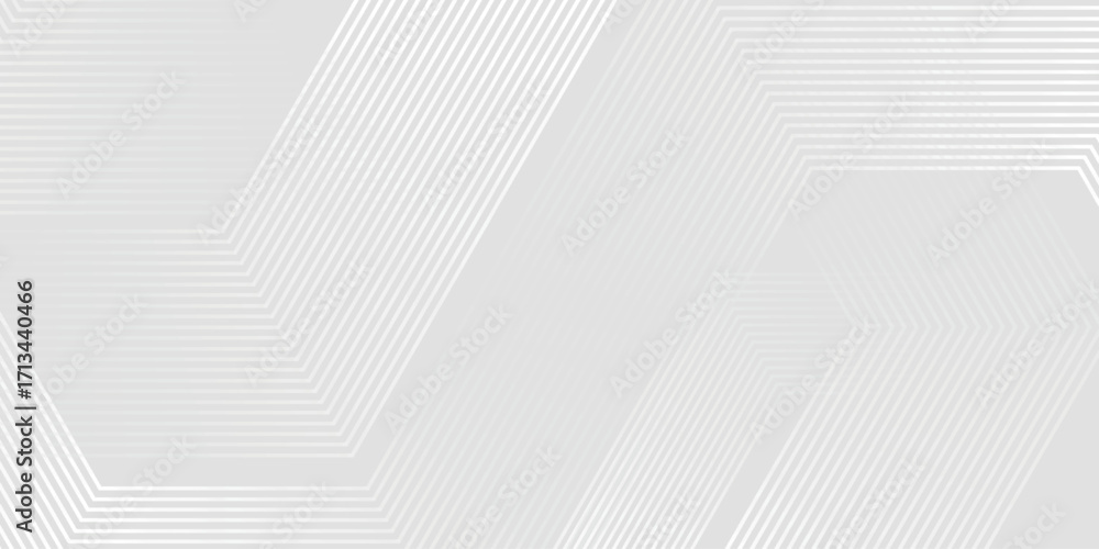 Poster background with white and grey gradient hexagonal line texture decoration. simple and modern concept
