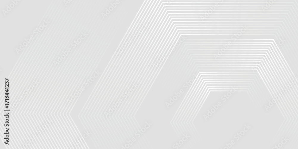 Aufkleber background with white and grey gradient hexagonal line texture decoration. simple and modern concept