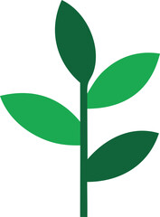 Vibrant green leaves branch plant nature growth organic fresh life botany growth stem foliage ecology sustainability renewable eco