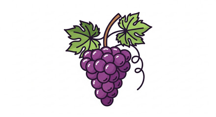 Illustration of fresh grapes with leaves healthy fruit purple grapes vineyard grape harvest design 100 char