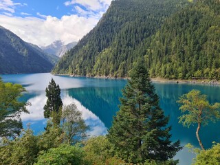 The azure blue of Long Lake in summer in Jiuzhaigou National Park, China.