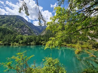 Beautiful scenery of a lake in summer in Jiuzhaigou National Park, China.
