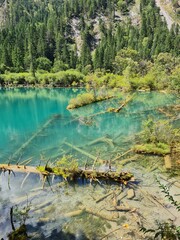 Reflection on the surface of a lake in summer in Jiuzhaigou National Park, China.