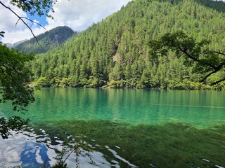 Beautiful scenery of a lake in summer in Jiuzhaigou National Park, China.