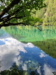The stunning scenery of a lake in summer in the Jiuzhaigou National Park, China