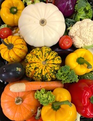 A vibrant pile of assorted vegetables and fruits, including ripe tomatoes, leafy greens, bright bell peppers, and juicy oranges, showcasing fresh produce.