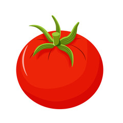 Vector illustration of a red tomato isolated on white , Tomato vector. Tomato on white background. Tomato vector in cartoon style.