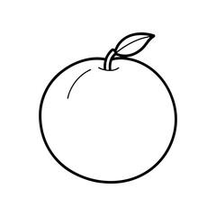 Simple line drawing of a whole orange fruit on transparent background