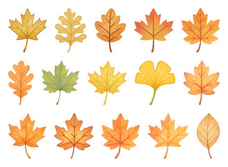 PNG Autumn leaves illustration collection, element set on transparent background